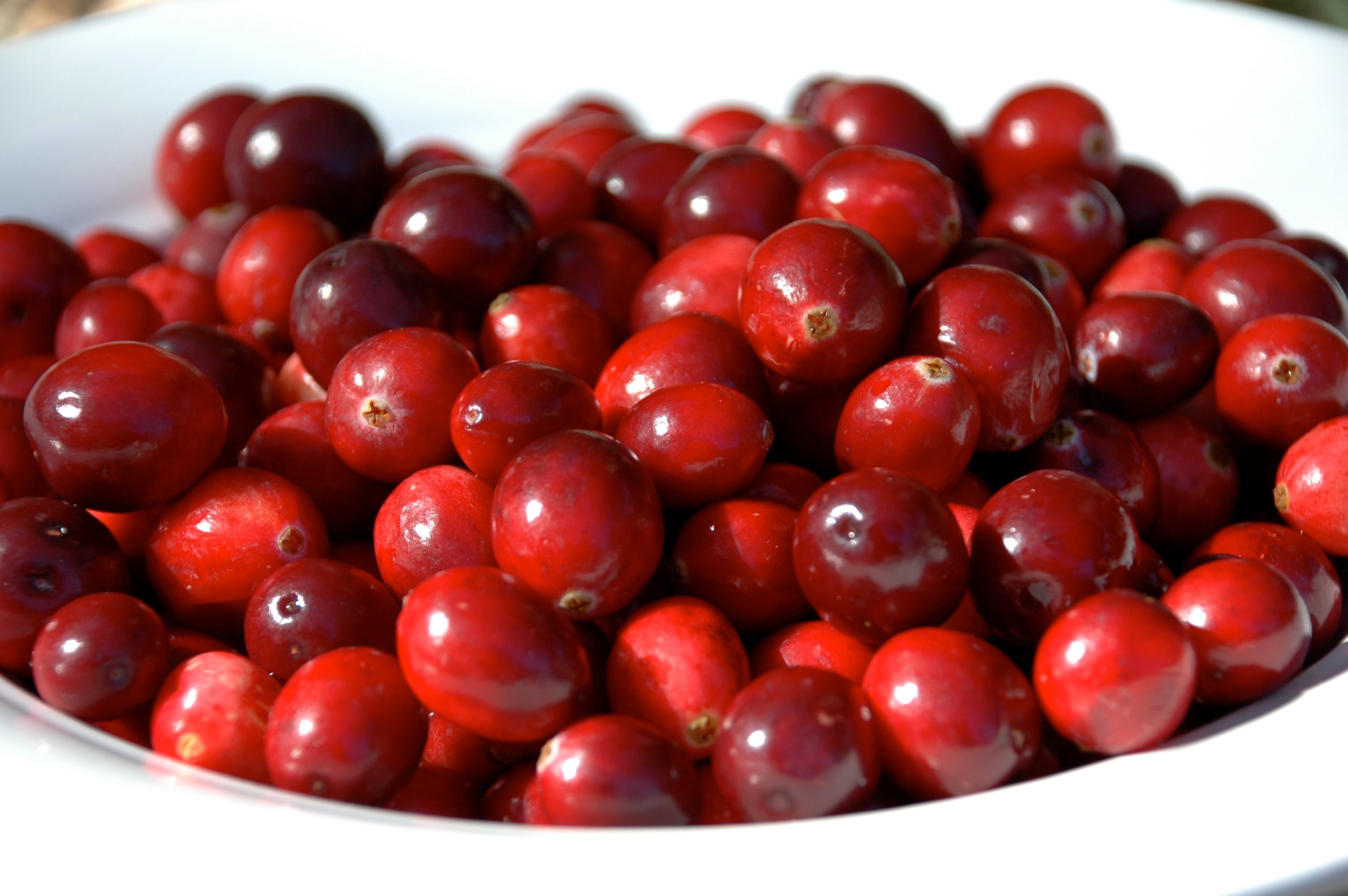 Cranberry Pie.jpg